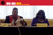 Blacks In Government, National Executive Committee meeting